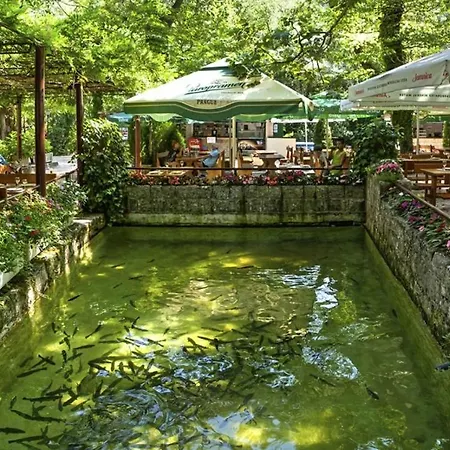 Villa Sunflower House With A Pool