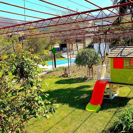Sunflower House With A Pool