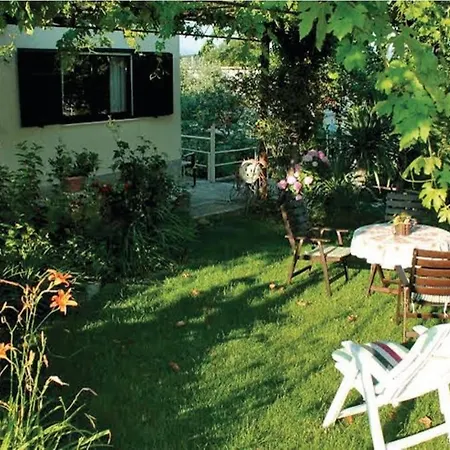 Sunflower House With A Pool 别墅 奥米什